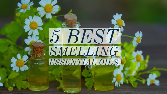 Our 5 Best Smelling Essential Oils You Can Start Using Featured Image